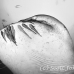 shark_whale_dr_ci_h_0062_cos3784_bw.jpg